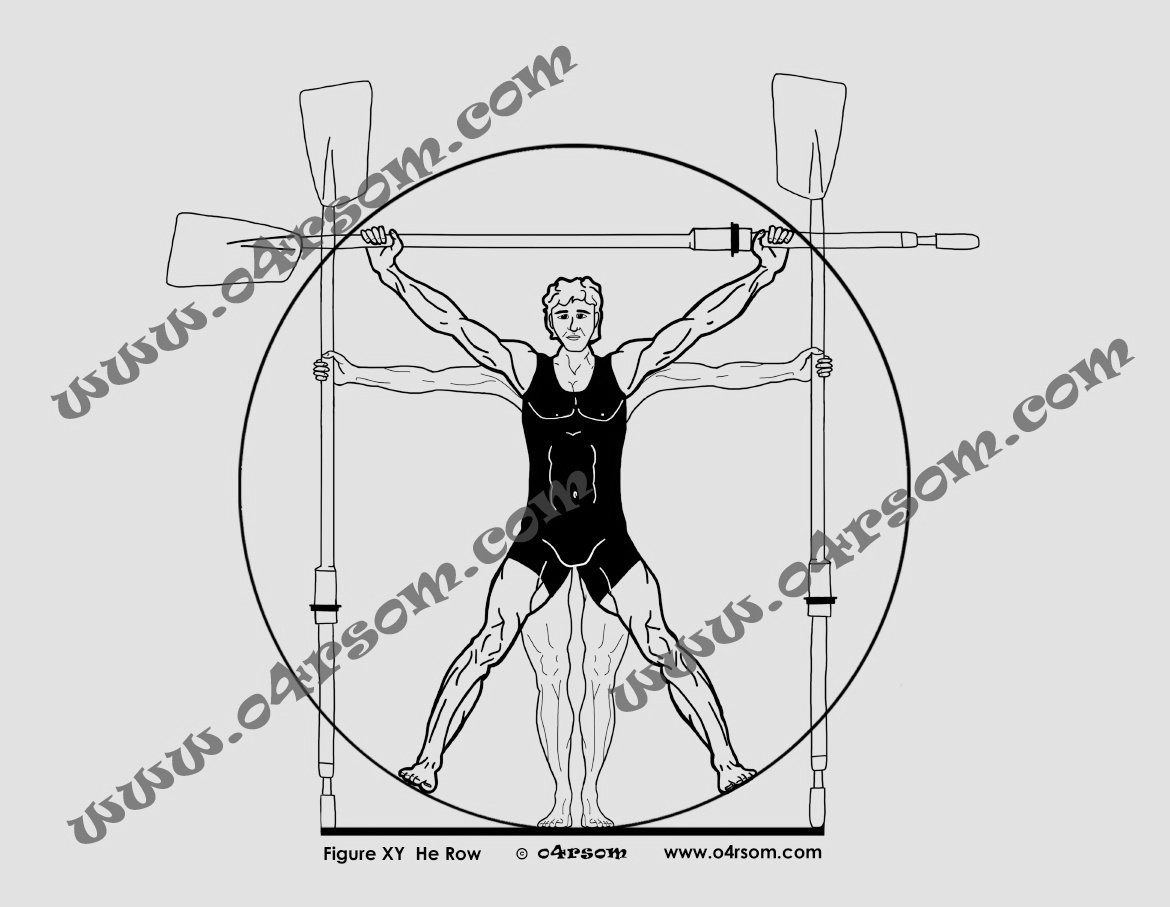 XX He Row: a take on Leonardo's 'Vitruvian Man', here a male rower (modest in one-piece lycra) holds a cleaver scull in his outstreched hands. o4rsom rowing art.